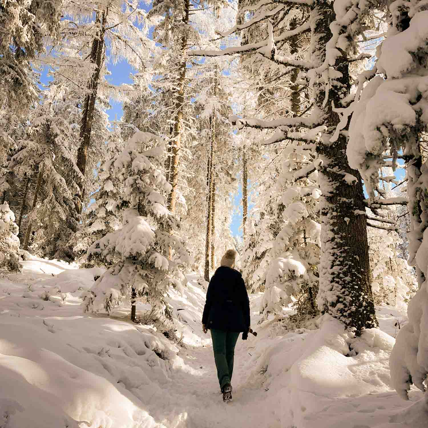 Fotografin Elisabeth Eder beim Wandern auf diesem Bild wird das Hobby der Fotografin Elisabeth Eder veranschaulicht: eine Wanderung durch die Winterlandschaft